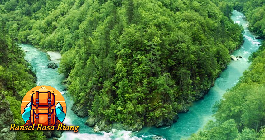 Serunya Aktivitas Rafting di Sungai Tara